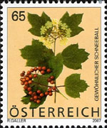 Austria 2007 - serie Fiori: 0,65 €