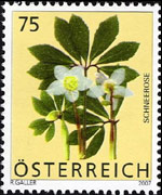 Austria 2007 - serie Fiori: 0,75 €