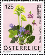 Austria 2007 - serie Fiori: 1,25 €