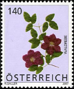 Austria 2007 - set Flowers: 1,40 €