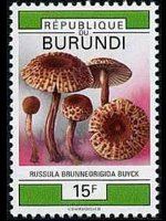 Burundi 1992 - serie Funghi: 15 fr