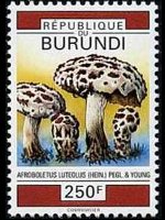 Burundi 1992 - serie Funghi: 250 fr