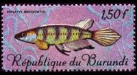 Burundi 1967 - serie Pesci tropicali: 1,50 fr