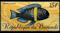 Burundi 1967 - serie Pesci tropicali: 15 fr