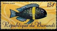 Burundi 1967 - set Tropical fish: 15 fr