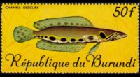 Burundi 1967 - serie Pesci tropicali: 50 fr