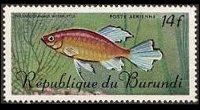 Burundi 1967 - set Tropical fish: 14 fr