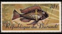 Burundi 1967 - set Tropical fish: 20 fr