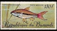 Burundi 1967 - set Tropical fish: 130 fr