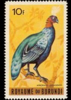 Burundi 1965 - serie Uccelli: 10 fr