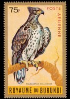 Burundi 1965 - serie Uccelli: 75 fr