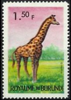Burundi 1964 - serie Animali: 1,50 fr