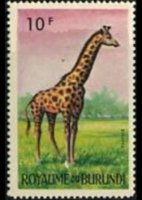 Burundi 1964 - serie Animali: 10 fr