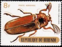 Burundi 1970 - serie Coleotteri: 8 fr