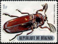 Burundi 1970 - serie Coleotteri: 1 fr