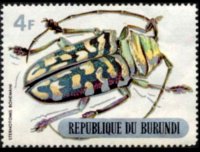 Burundi 1970 - serie Coleotteri: 4 fr