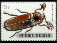 Burundi 1970 - serie Coleotteri: 5 fr