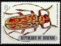 Burundi 1970 - serie Coleotteri: 8 fr