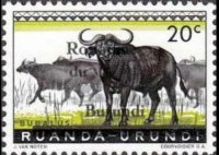 Burundi 1962 - set Flowers and animals: 20 c