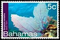 Bahamas 2012 - serie Vita marina: 5 c