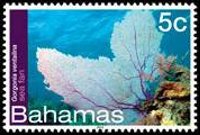 Bahamas 2012 - serie Vita marina: 5 c