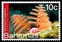 Bahamas 2012 - serie Vita marina: 10 c
