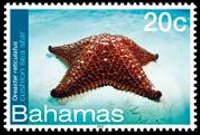 Bahamas 2012 - serie Vita marina: 20 c