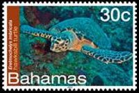 Bahamas 2012 - serie Vita marina: 30 c