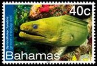 Bahamas 2012 - serie Vita marina: 40 c