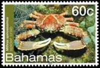 Bahamas 2012 - serie Vita marina: 60 c