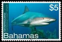 Bahamas 2012 - serie Vita marina: 5 $