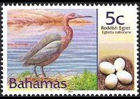Bahamas 2001 - serie Uccelli e loro uova: 5 c