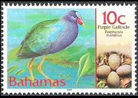 Bahamas 2001 - serie Uccelli e loro uova: 10 c