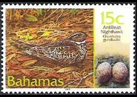 Bahamas 2001 - serie Uccelli e loro uova: 15 c