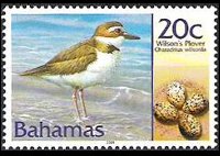 Bahamas 2001 - serie Uccelli e loro uova: 20 c