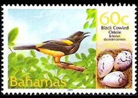 Bahamas 2001 - serie Uccelli e loro uova: 60 c