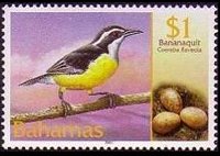 Bahamas 2001 - serie Uccelli e loro uova: 1 $