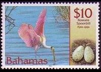 Bahamas 2001 - serie Uccelli e loro uova: 10 $
