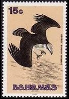 Bahamas 1991 - serie Uccelli: 15 c