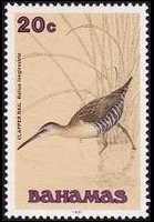 Bahamas 1991 - serie Uccelli: 20 c