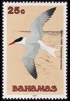 Bahamas 1991 - serie Uccelli: 25 c