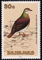Bahamas 1991 - serie Uccelli: 30 c
