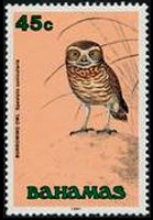 Bahamas 1991 - serie Uccelli: 45 c