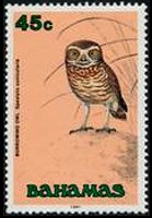 Bahamas 1991 - set Birds: 45 c