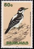 Bahamas 1991 - serie Uccelli: 50 c