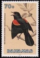 Bahamas 1991 - serie Uccelli: 70 c