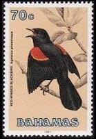 Bahamas 1991 - set Birds: 70 c