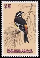 Bahamas 1991 - set Birds: 5 $