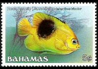 Bahamas 1986 - serie Pesci: 5 c