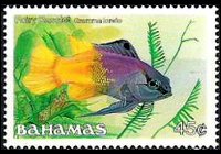 Bahamas 1986 - serie Pesci: 45 c